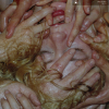 jukebox.php?image=micro.png&group=Pharmakon&album=Pharmakon%3B+Contact