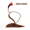 jukebox.php?image=micro.png&group=Meg+Baird+%26+Mary+Lattimore&album=Ghost+Forests
